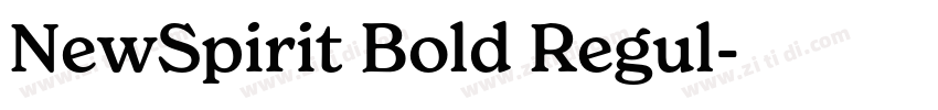 NewSpirit Bold Regul字体转换